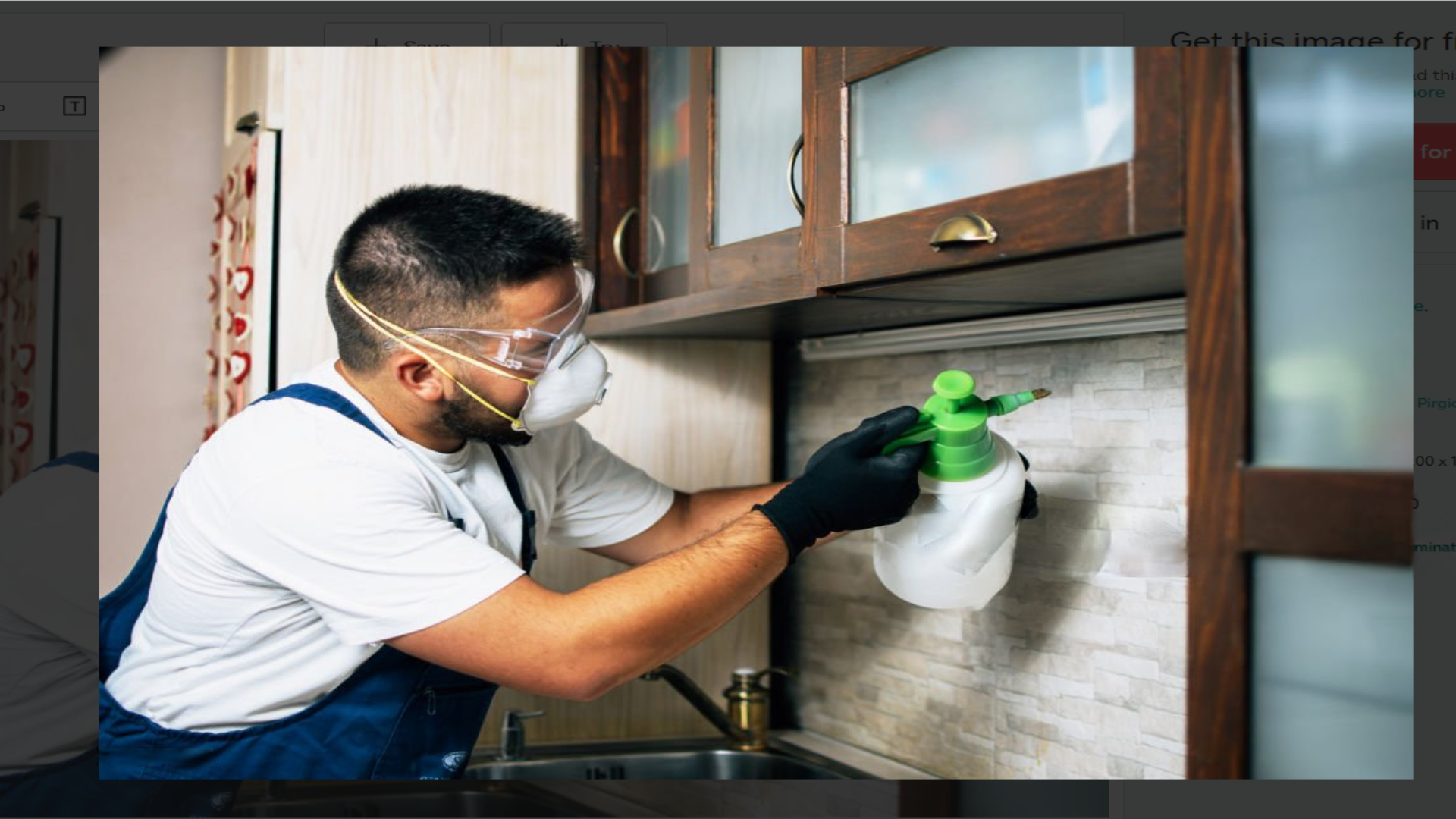 Pest control expert spraying indoors