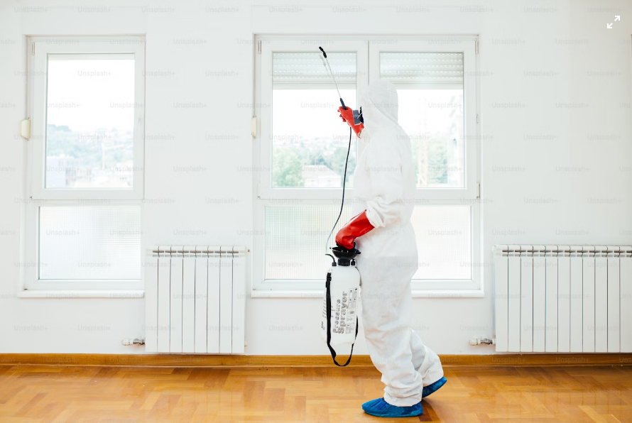 Pest control expert spraying indoors